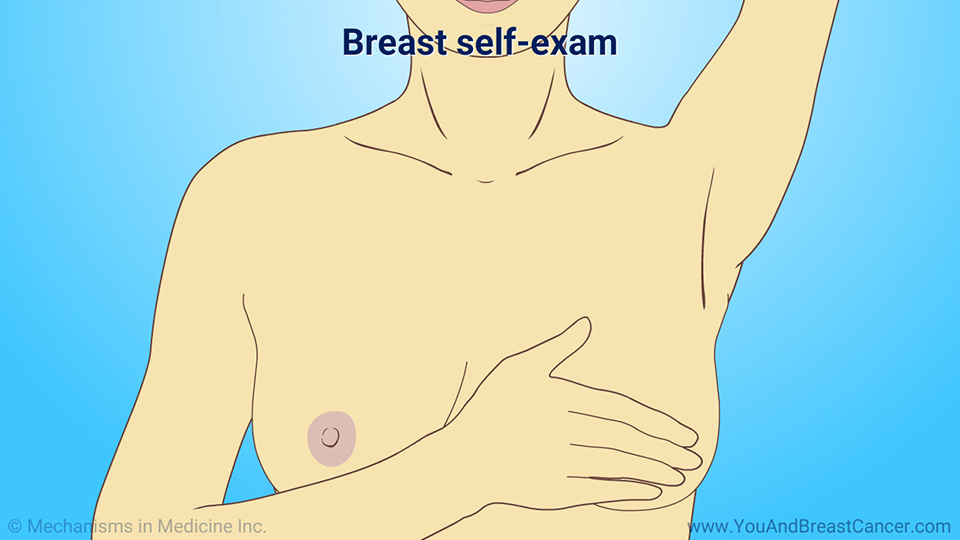 Breast self-exam